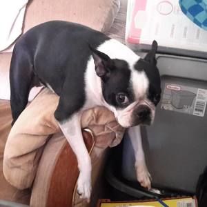 Meet your Posher, Richard